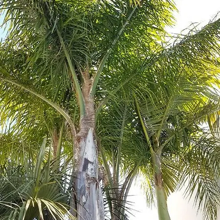 Marina 27 * Albufeira