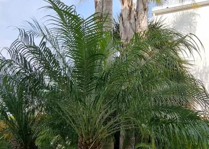 Marina 27 Αλμπουφέιρα